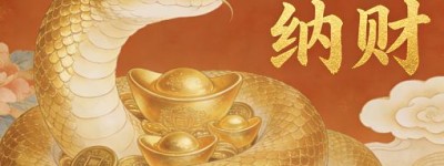 忙中有错是什么生肖，优质解答阐释释义